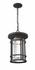 Jordan 1 Light Outdoor Chain Mount Ceiling Fixture in Oil Rubbed Bronze Finish by Z-Lite