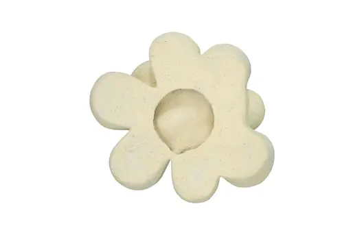 Oviferum Succulent Wall Art, Chartreuse by PHILLIPS COLLECTION