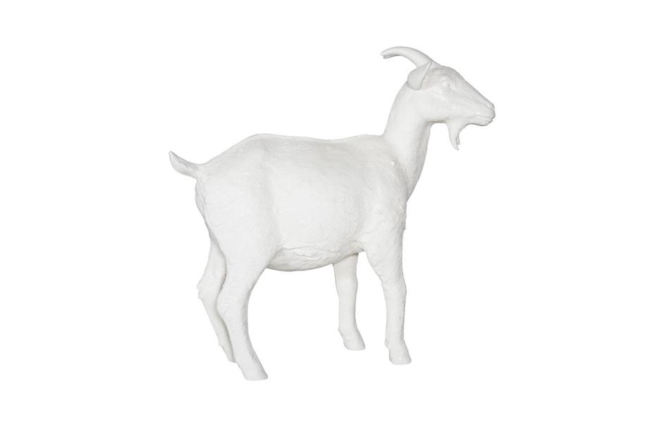 Goat, Off White by Phillips Collection
