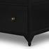 Shadow Box Cabinet In Black by FOUR HANDS