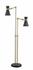 Soriano 2 Light Floor Lamp in Matte Black + Heritage Brass Finish by Z-Lite