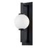 Darwin Wall Sconce by Troy