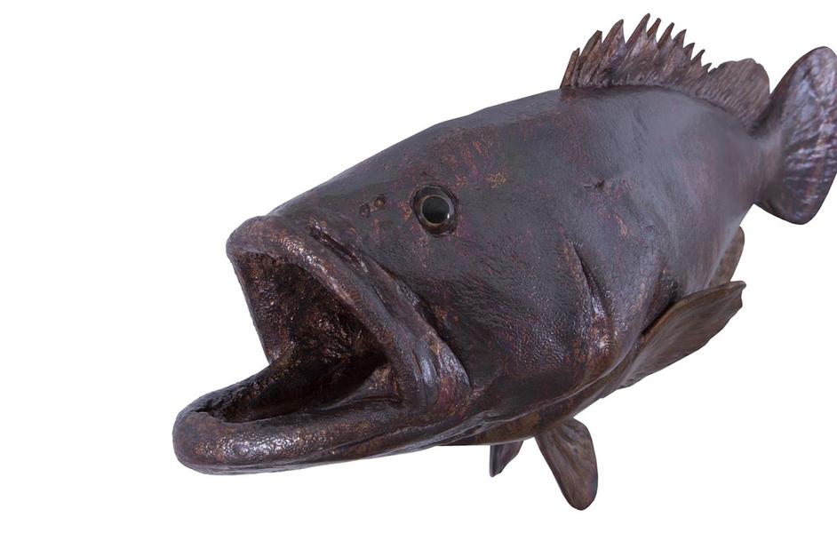 Estuary Cod Fish Wall Sculpture, Copper Patina by PHILLIPS COLLECTION