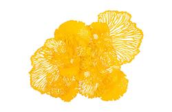 Flower Wall Art, Dandelion, Large by PHILLIPS COLLECTION