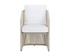 ALLARIZ DINING ARMCHAIR - GREIGE - STINSON WHITE by Sunpan