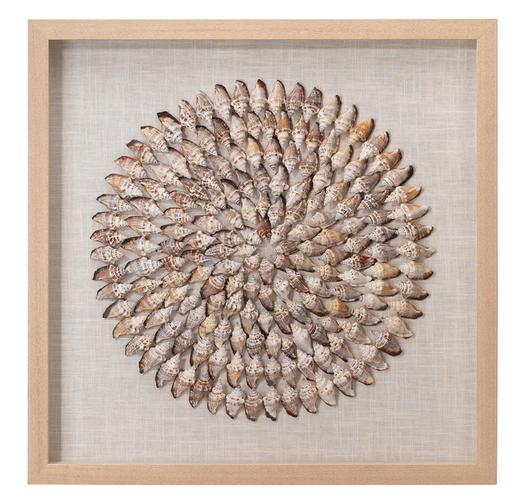 Riviera Framed Wall Art, Beige Simnia Shell by Jamie Young
