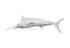 Blue Marlin Fish, Silver Leaf by PHILLIPS COLLECTION