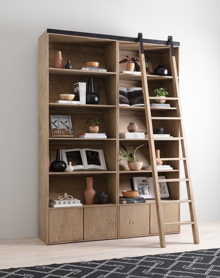 Bane Double Bookshelf W/ Ladder In Smoked P by FOUR HANDS