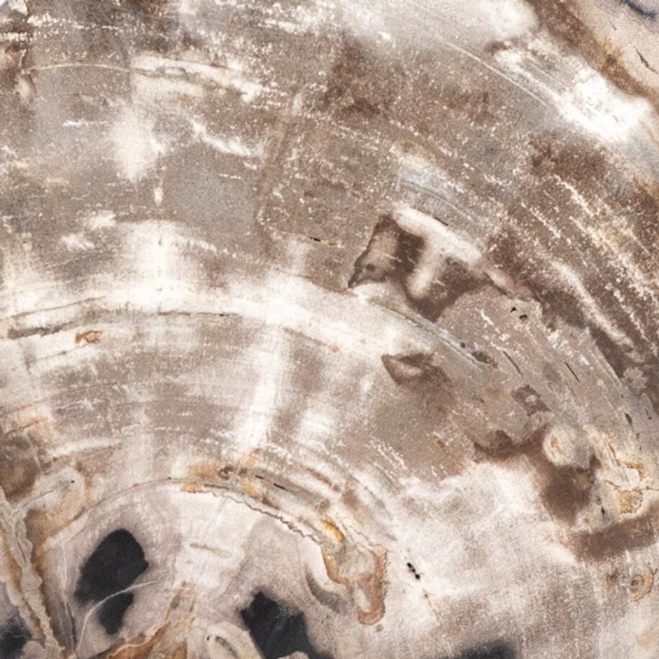 Petrified Wood Organic Sculpture, Set Of 3 - Dark Petrified Wood by Four Hands