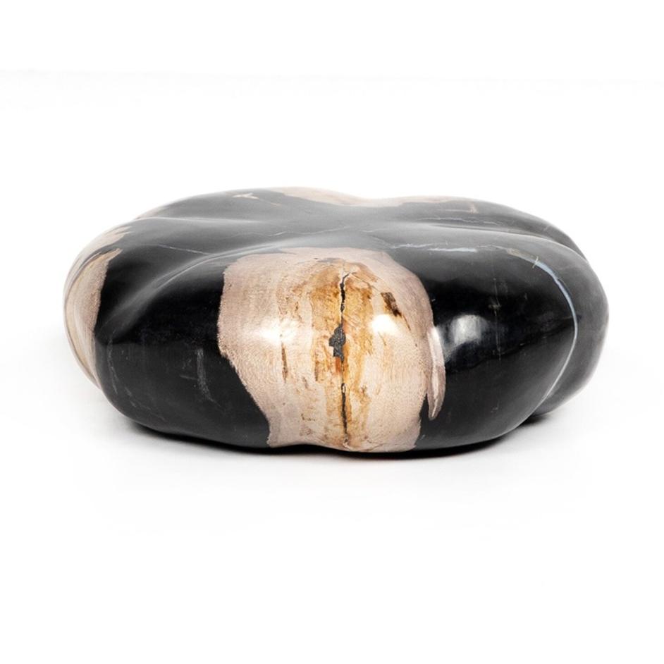 Petrified Wood Organic Sculpture, Set Of 3 - Dark Petrified Wood by Four Hands