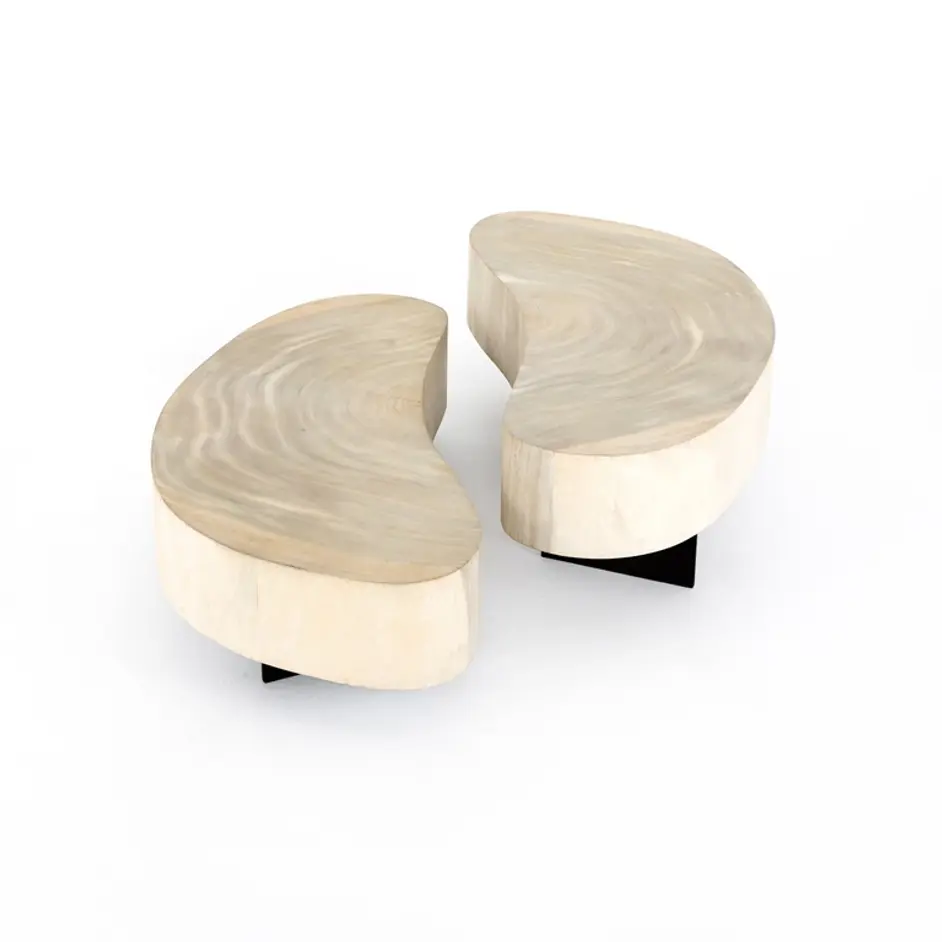 Avett Coffee Table In Bleached Guanacaste by FOUR HANDS