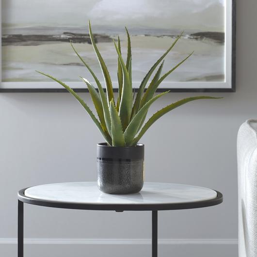 Tucson Aloe Planter by Uttermost