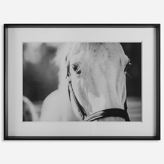 Eyes On The Prize Framed Print by Uttermost