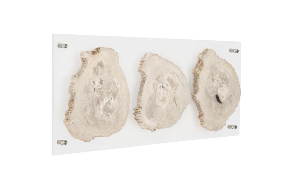 Floating Petrified Triple Slice Wall Art by PHILLIPS COLLECTION