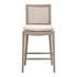 Blume Counter Stool by Essentials For Living