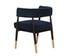 CALLEM DINING ARMCHAIR - DANNY NAVY by Sunpan