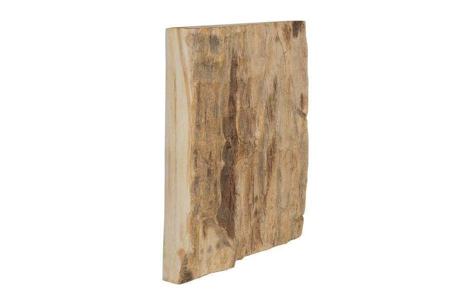 Cast Petrified Wood Wall Tile, Resin, Square by PHILLIPS COLLECTION