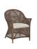 Destin Arm Chair by Furniture Classics