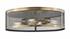 Meshsmith 4 Light Flush Mount in Natural Brass Finish by Z-Lite