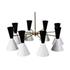 Saphira 8 Light Ceiling Lamp - Black/White by GALLA HOME
