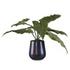Mari Calla Accent Plant by Uttermost