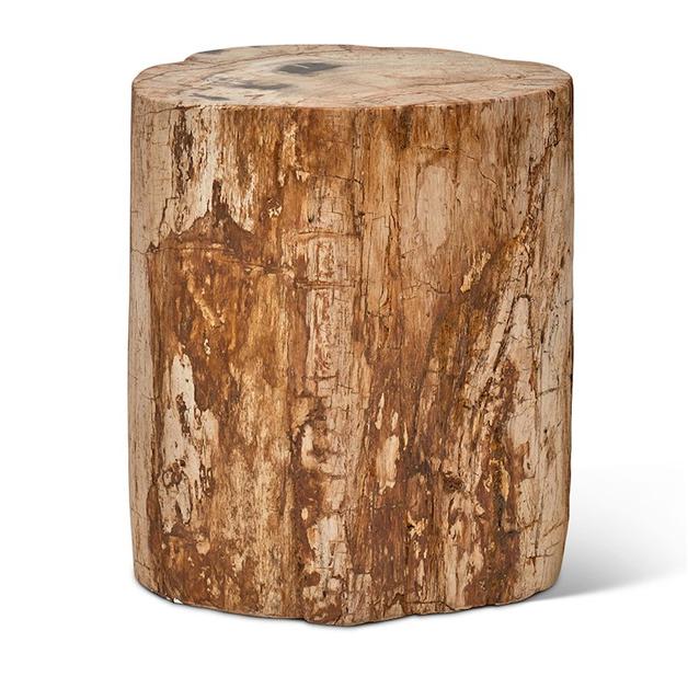 Petrified Wood Stump, Fully Polished by Urbia Imports