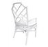 Kara Rattan Arm Chair In White by New Pacific Direct