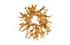 Cast Root Wall Decor, Gold Leaf by Phillips Collection