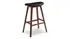 Exotic Corona Counter Height Stool by Greenington