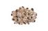 Barnacle Cluster Wall Art, Large by PHILLIPS COLLECTION