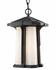 Harbor Lane 1 Light Outdoor Chain Light in Black Finish by Z-Lite