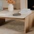 Lane Coffee Table Natural by Moes Home