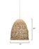 Netted 1-Light Pendant by Jamie Young
