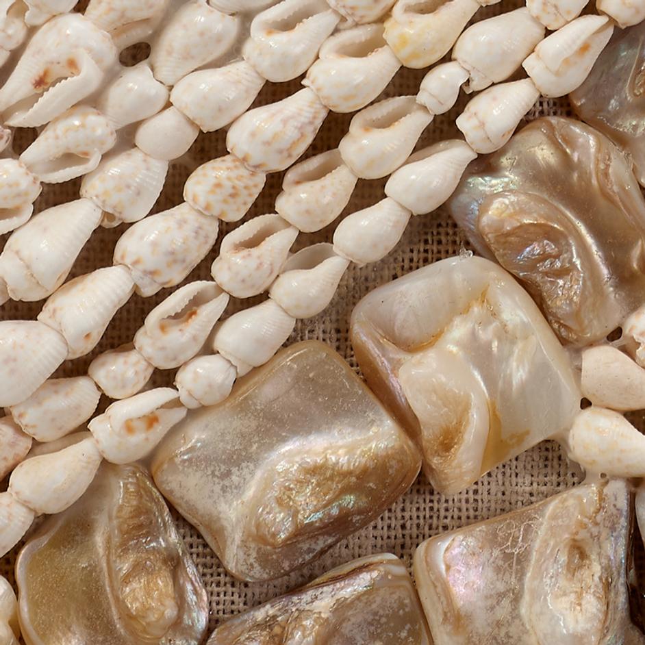 Big Wave Shell Wall Art by Jamie Young