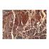 Rosa Coffee Table Rosso Levanto Marble by Moes Home
