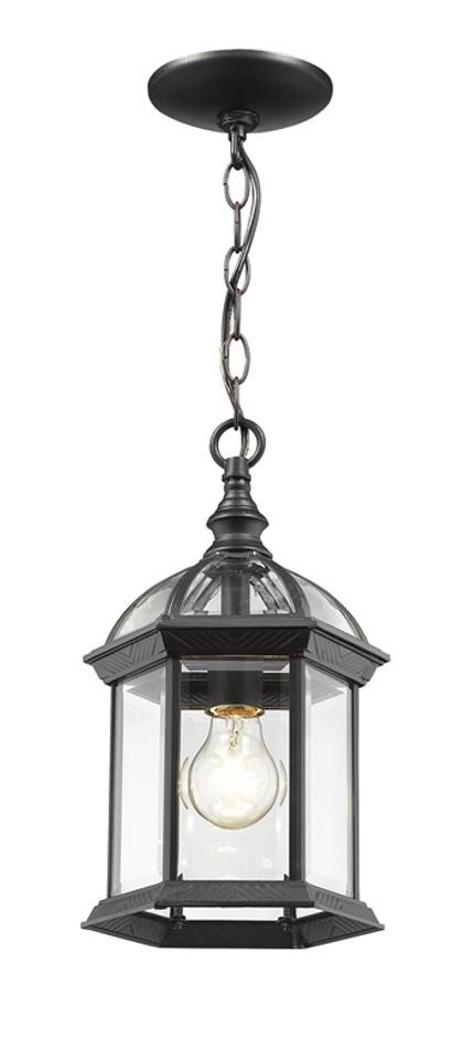 Annex 1 Light Outdoor Chain in Black Finish by Z-Lite