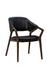 Chavez Arm Chair by Furniture Classics