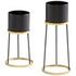 Large Liza Stand in Gold and Black by Cyan Design