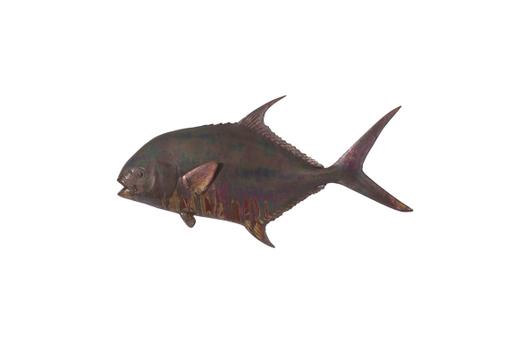 Permit Fish Wall Sculpture , Copper Patina by PHILLIPS COLLECTION