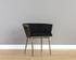 Caily Dining Armchair - Abbington Black by Sunpan