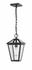 Talbot 1 Light Outdoor Chain Mount Ceiling Fixture in Black Finish by Z-Lite