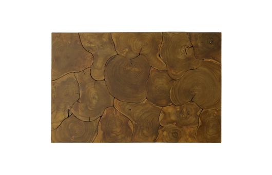 Teak Slice Coffee Table, Stainless Steel Legs, Rectangle by Phillips Collection