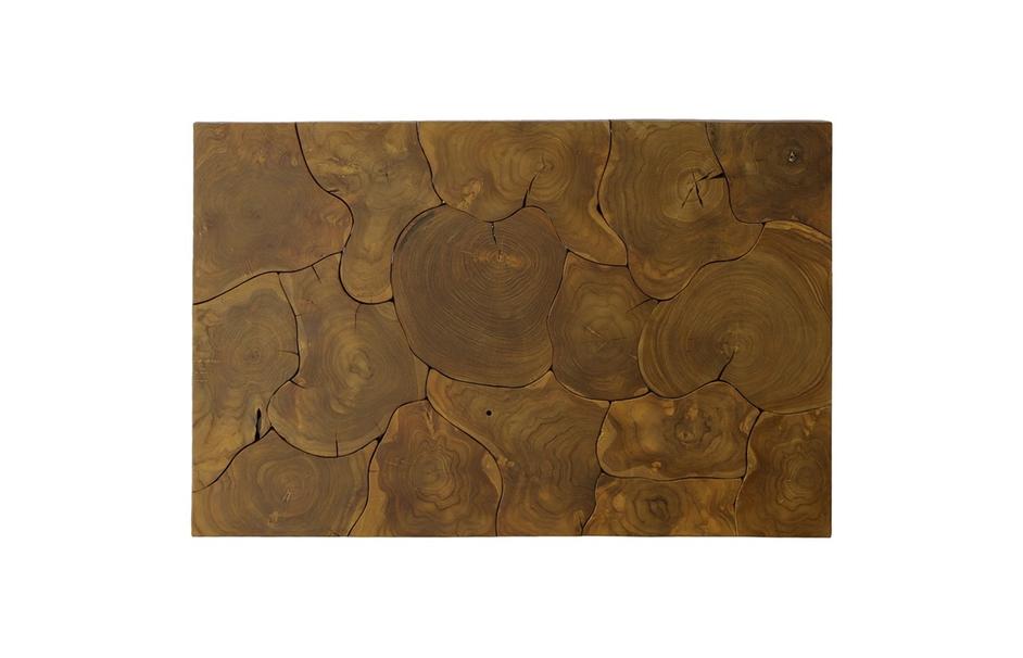 Teak Slice Coffee Table, Stainless Steel Legs, Rectangle by Phillips Collection