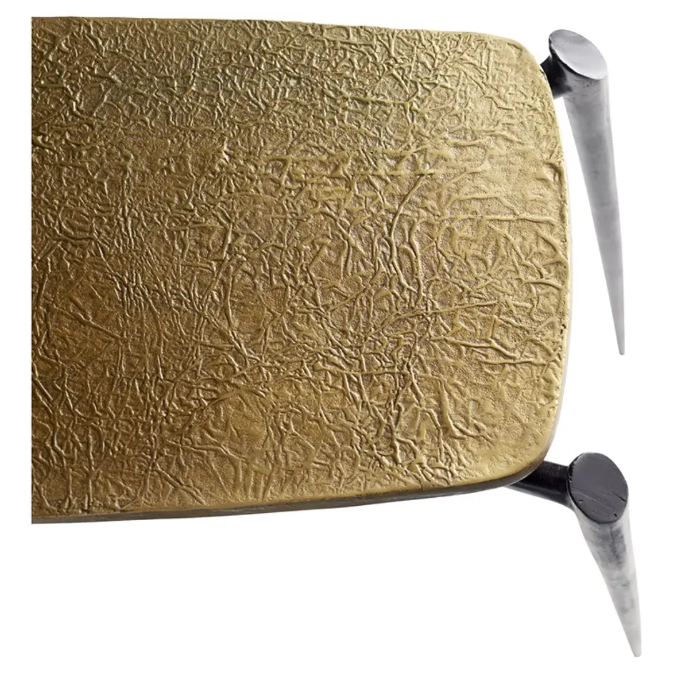 Tarsal Table in Gold and Black by Cyan Design