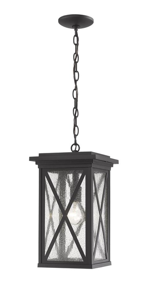 Brookside 1 Light Outdoor Chain Mount Ceiling Fixture in Black Finish by Z-Lite