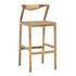 Sienna Outdoor Barstool by Curated Collections