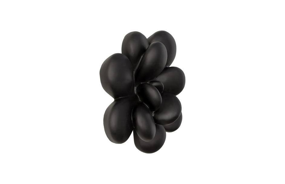 Oviferum Succulent Wall Art, Smallooth Matte Black by Phillips Collection