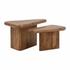 Varen Coffee Table Set of 2 by Curated Collections