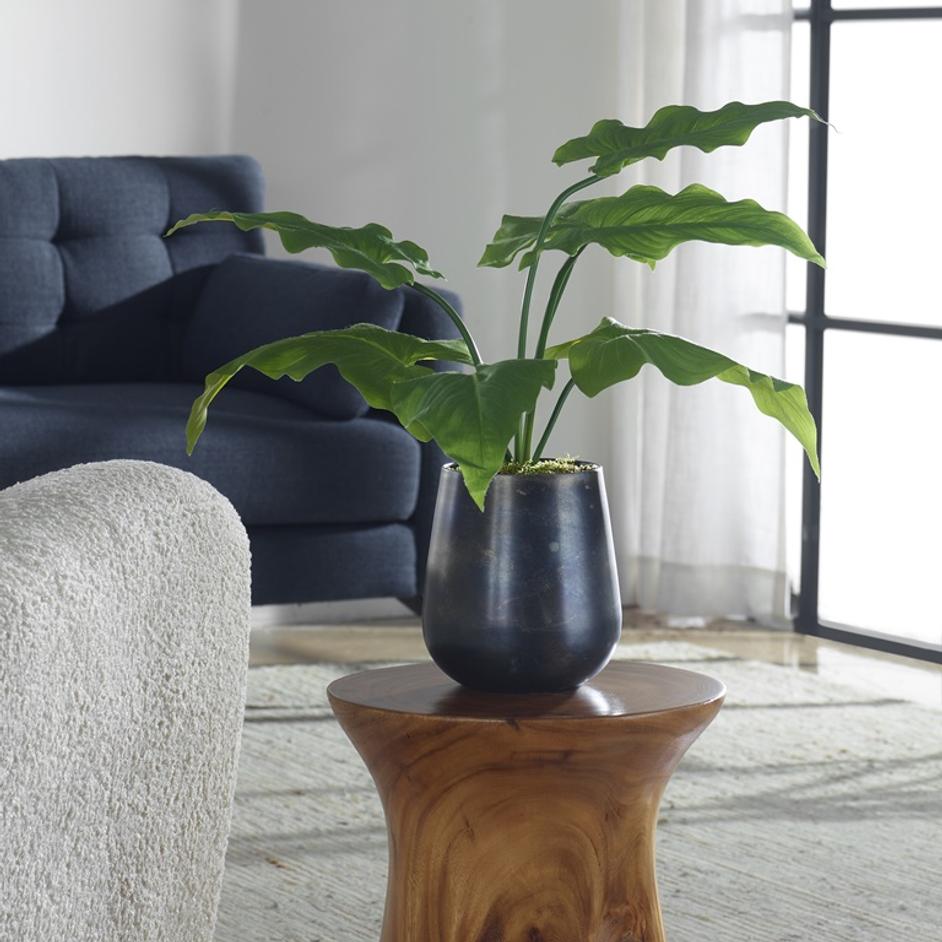 Mari Calla Accent Plant by Uttermost