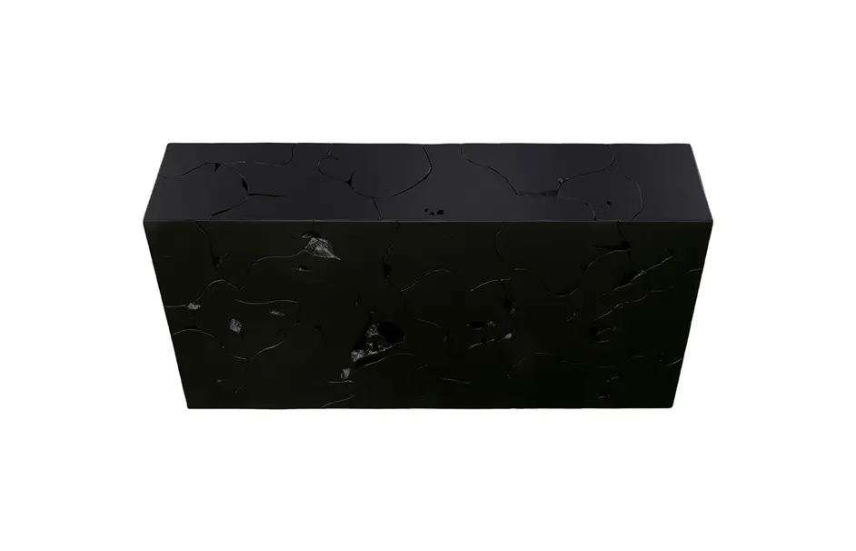 Teak Slice Console Table, Black by Phillips Collection